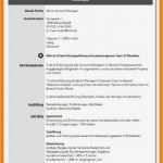 51 Gut Lebenslauf Vorlage Manager Bilder 52 Lebenslauf Vorlage Manager Wunderbar 9 Lebenslauf Manager Muster