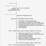 Lebenslauf Vorlage Manager Wunderbar Bewerbung Zum Sales Manager Jetzt En