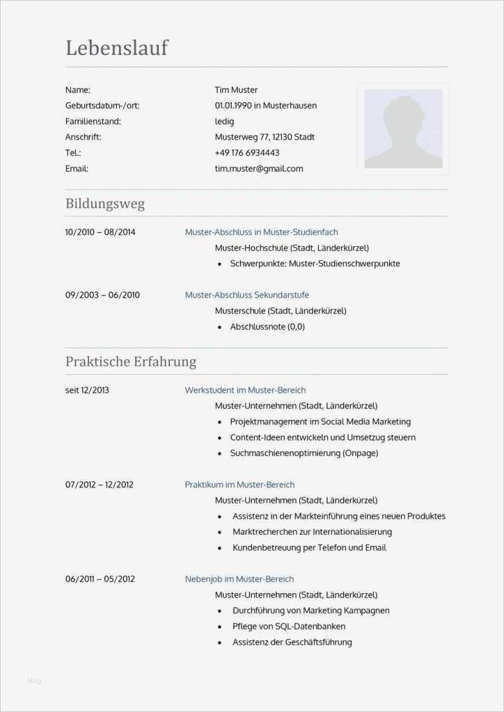 Lebenslauf Vorlage Manager Wunderbar Lebenslauf Vorlage Aktuell Lebenslauf Beispiel