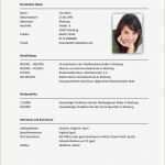 Lebenslauf Vorlage Mit Kind Süß Lebenslauf Vorlage Frau Mit Kind Einzigartig 6