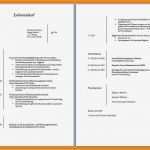 Lebenslauf Vorlage Modern Inspiration 5 Vorlage Lebenslauf Modern