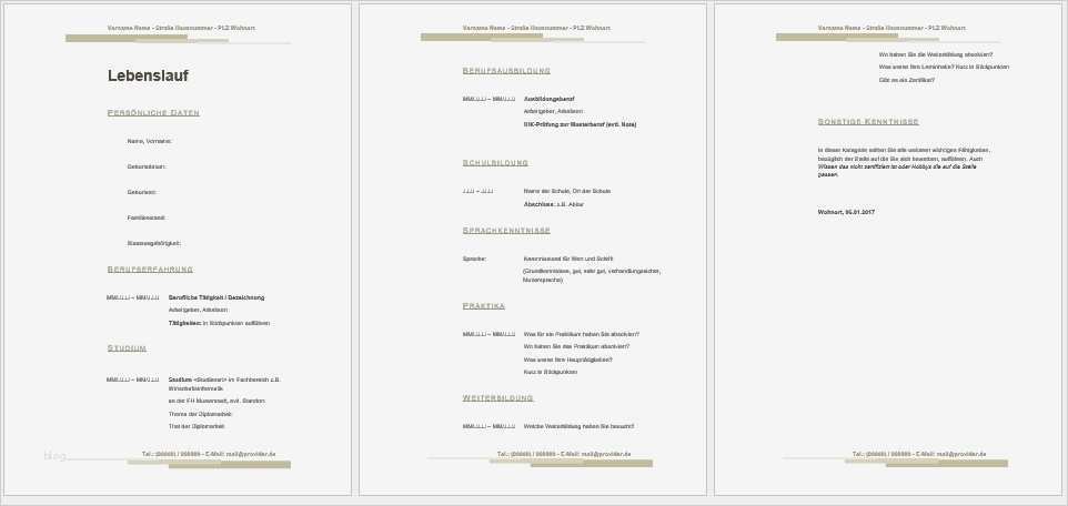 Lebenslauf Vorlage Openoffice Download Cool Lebenslauf Muster Bildungsbibel