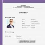 Lebenslauf Vorlage Openoffice Download Schönste Niedlich Lebenslauf Lebenslauf Beispiele Herunterladen