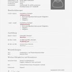 Lebenslauf Vorlage Openoffice Kostenlos Download Wunderbar Kostenlose Lebenslauf Muster Und Vorlagen Für Deine