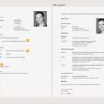 Lebenslauf Vorlage Pages Luxus Professioneller Lebenslauf Vorlage Word Vorlagen 1001