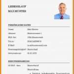 Lebenslauf Vorlage Pdf Erstaunlich 12 Lebenslauf Pdf