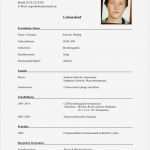 Lebenslauf Vorlage Pdf Erstaunlich Cv Resume Resume Cv Deutsch