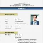 Lebenslauf Vorlage Pdf Kostenlos Fabelhaft Fantastisch Lebenslauf Beispiel Download Pdf Bilder