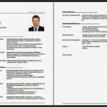 Lebenslauf Vorlage Pdf Kostenlos Fabelhaft Lebenslauf Muster Als Vorlage