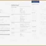 Lebenslauf Vorlage Pdf Luxus 16 Lebenslauf Vorlagen Kostenlos Vorlagen123 Vorlagen123