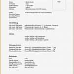 Lebenslauf Vorlage Praktikum Schüler Erstaunlich 10 Lebenslauf Vorlage Schule