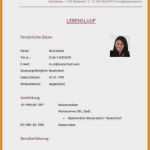 Lebenslauf Vorlage Praktikum Schüler Luxus Lebenslauf Vorlage Praktikum Schüler Inspiration 13