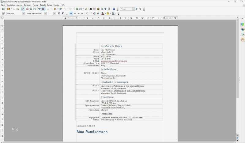 Lebenslauf Vorlage Schüler Download Erstaunlich Lebenslauf Schüler Download
