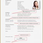 Lebenslauf Vorlage Schüler Word Schönste 5 Schüler Lebenslauf