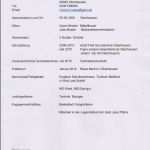 Lebenslauf Vorlage Schüler Word Schönste Bewerbungsvorlagen Und Tipps