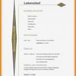 Lebenslauf Vorlage Schülerpraktikum Großartig 6 Lebenslauf Schülerpraktikum 9 Klasse