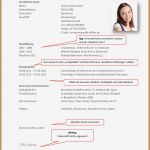 Lebenslauf Vorlage Schülerpraktikum Schön 11 Lebenslauf Schülerpraktikum