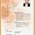 Lebenslauf Vorlage Student Neu 5 Lebenslauf Vorlage Student
