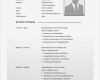 Lebenslauf Vorlage Word Kostenlos Genial Lebenslauf Vorlage 16 Professionelles Bewerbungsdesign Word