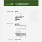 Lebenslauf Vorlage Xing Wunderbar Lebenslauf 31 Bewerbung