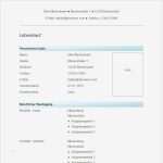 Lebenslauf Vorlage Zum Ausfüllen Best Of Vorlage 44 Tabellarischer Lebenslauf