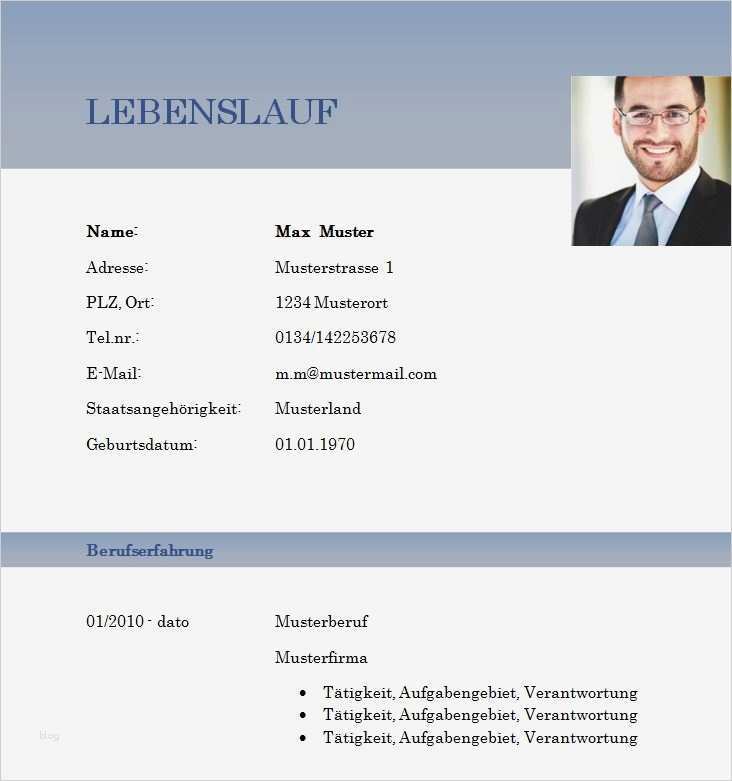 Lebenslauf Vorlage Zum Kopieren Elegant Vorlage Lebenslauf Download Lebenslauf Beispiel