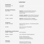 Lebenslauf Vorlage Zum Kopieren Gut Muster Lebenslauf Word Muster Lebenslauf Nebenjob