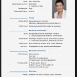 Lebenslauf Vorlage Zum Kopieren Süß Muster Lebenslauf Word Muster Lebenslauf Nebenjob