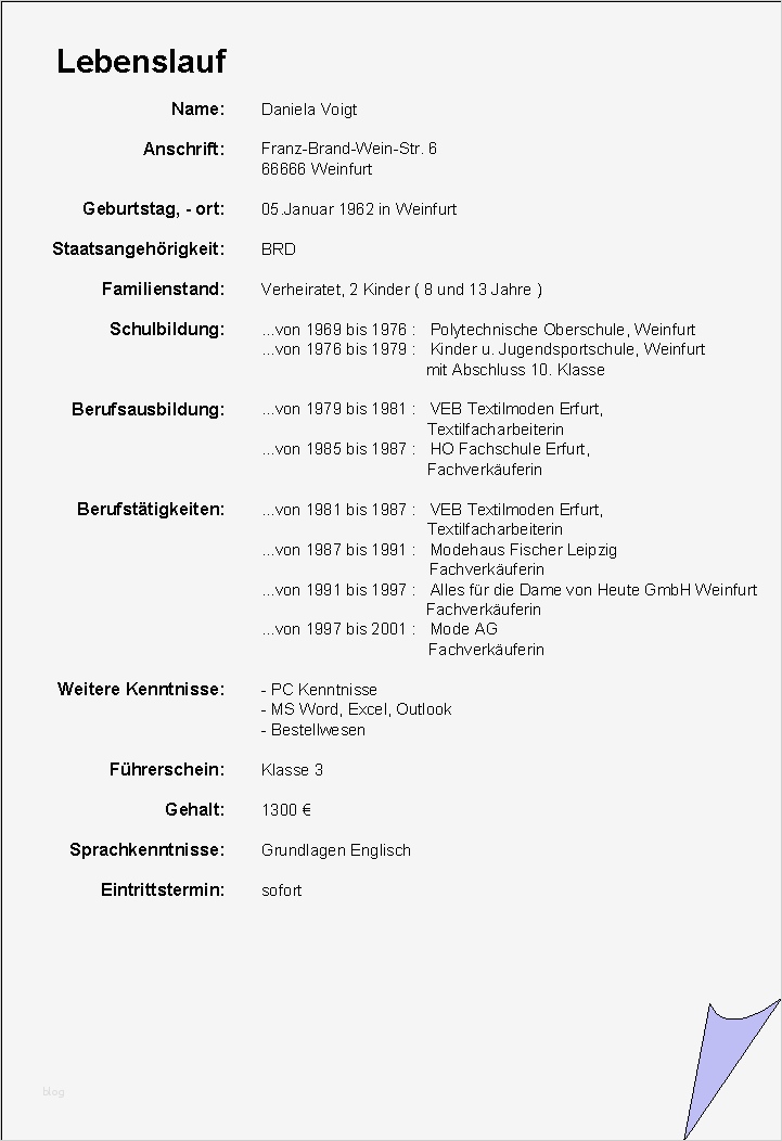 Lebenslauf Vorlage Zum Kopieren Wunderbar Bsp Lebenslauf