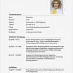 Lebenslauf Word Vorlage Kostenlos Erstaunlich Lebenslauf Vorlage Tabellarischer Cv Schweiz – Vorlage