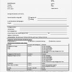 Leistungserklärung En 1090 Vorlage Beste formblatt En1090