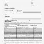 Leistungserklärung En 1090 Vorlage Wunderbar formblatt En1090