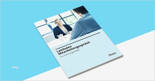 Leitfaden Mitarbeitergespräch Vorlage Neu Downloads Personio