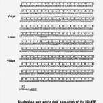 Leitz Register Vorlage Word Erstaunlich Groß Patent Vorlage Wort Zeitgenössisch Ideen fortsetzen
