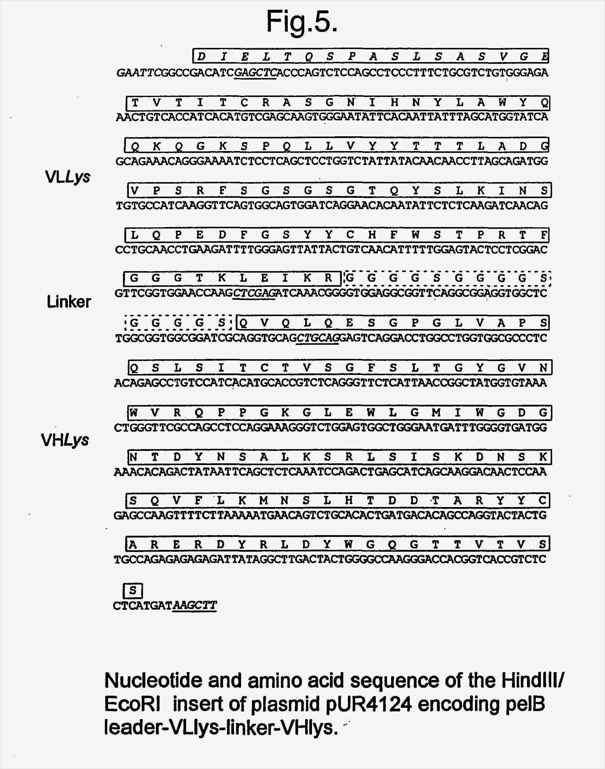 Leitz Register Vorlage Word Erstaunlich Groß Patent Vorlage Wort Zeitgenössisch Ideen fortsetzen