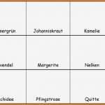 Leporello Vorlage Beste 11 Leporello Vorlage