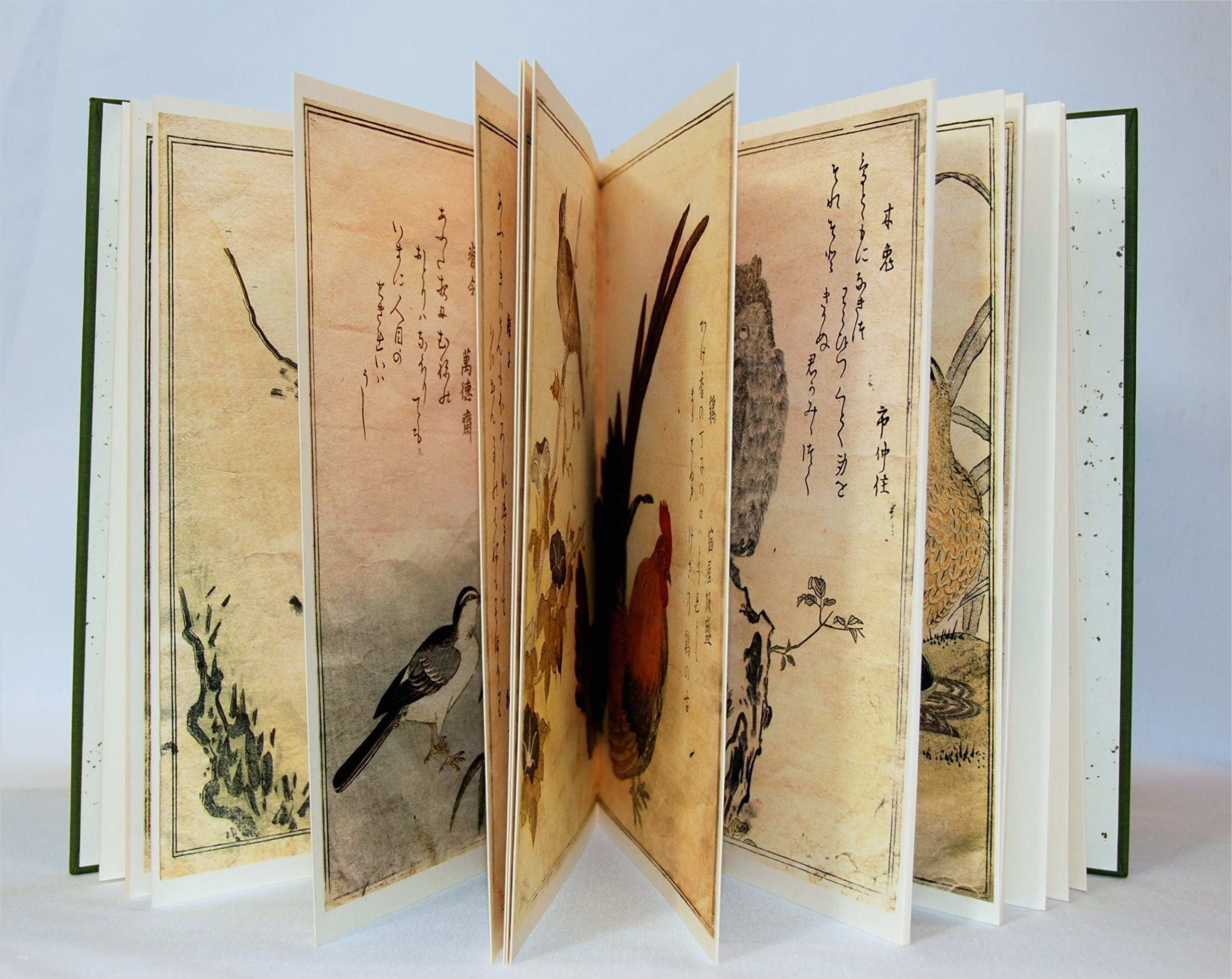 Leporello Vorlage Erstaunlich Leporello S Erben Faltbücher In Literatur Und Bildender