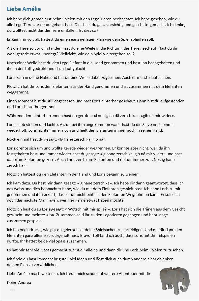 Lerngeschichten Vorlage Luxus atemberaubend Kindertagesstätte Beispiel Galerie Entry