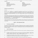 Letter Of Intent Vorlage Gut Ziemlich Letter Intent Vorlage Zeitgenössisch