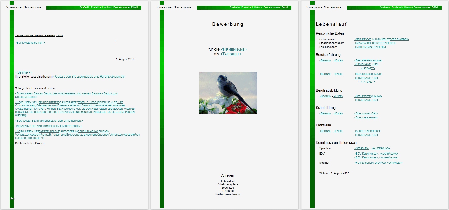 Libreoffice Vorlagen Genial Bewerbungsvorlagen Für Libreoffice
