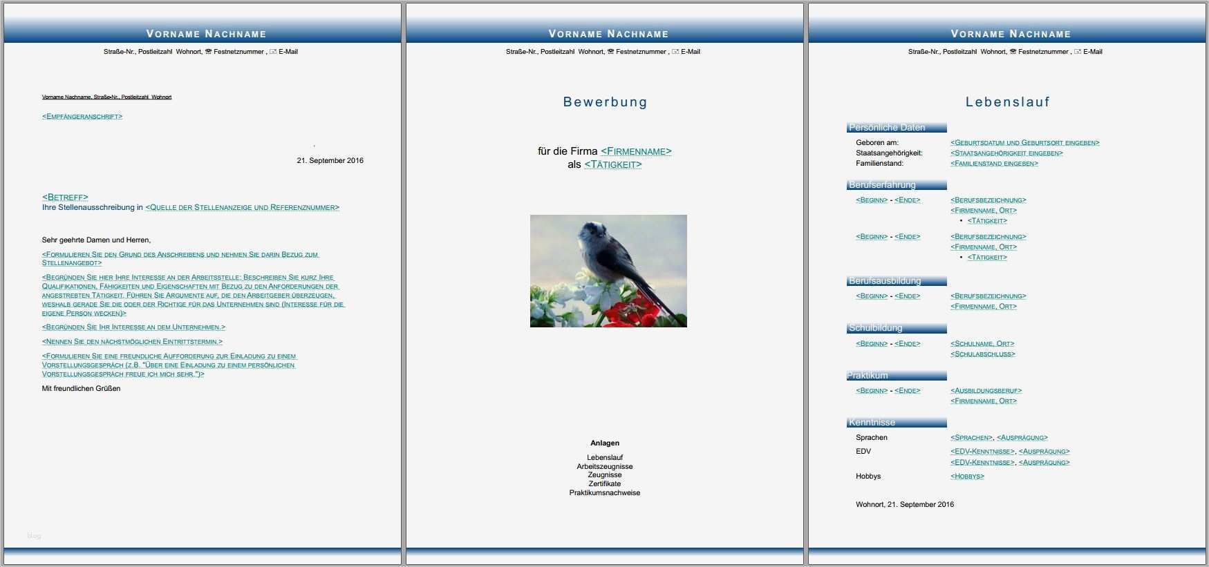 Libreoffice Vorlagen Gut Bewerbungsvorlagen Für Libreoffice