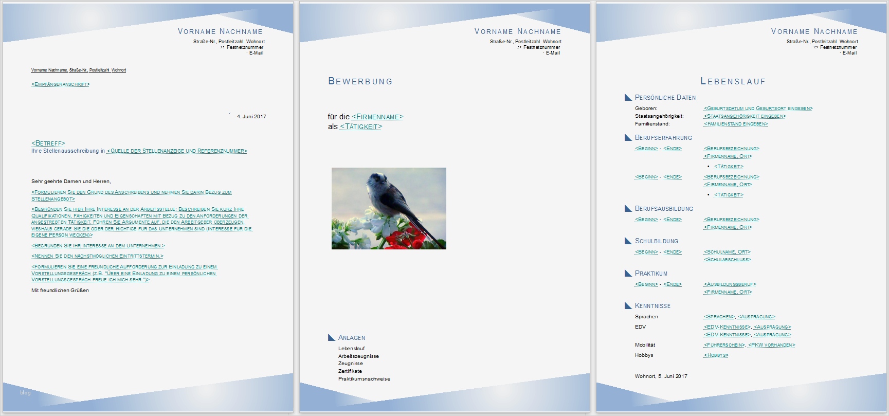 Libreoffice Vorlagen Schönste Bewerbungsvorlagen Für Libreoffice
