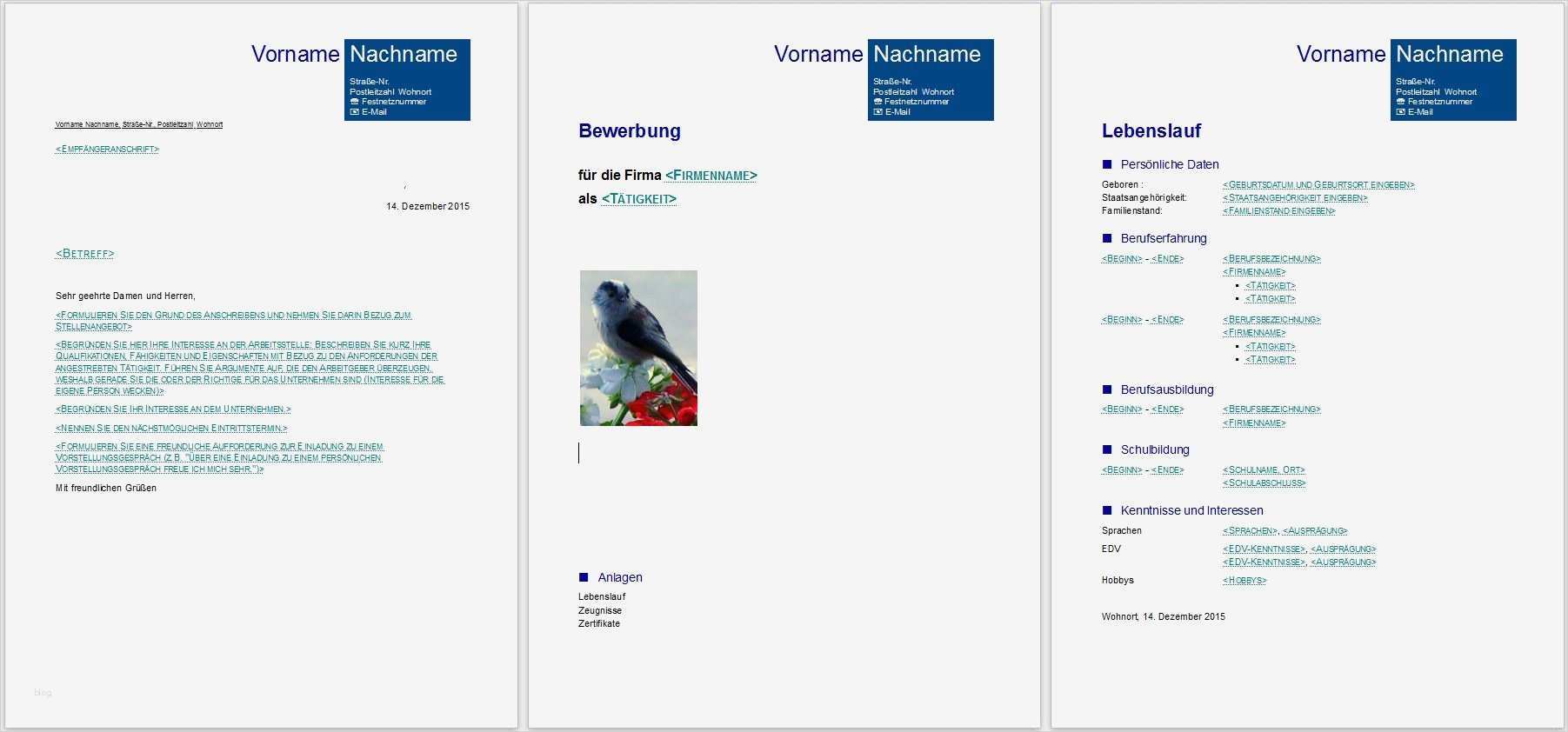 Libreoffice Vorlagen Wunderbar Bewerbungsvorlagen Für Libreoffice