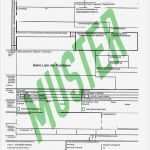 Lieferantenerklärung 2017 Vorlage Genial Nicola Bernard Servicebüro F Außenhandelslogistik