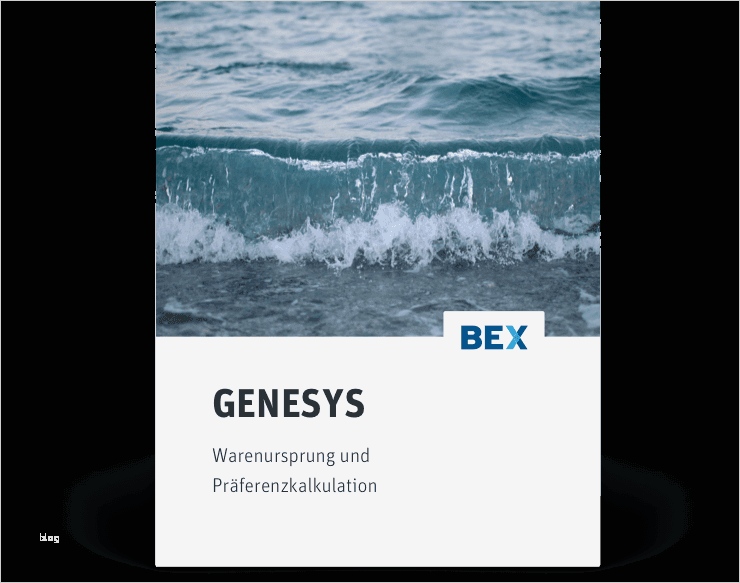 Langzeit Lieferantenerklärung LLE Vorlage & Muster