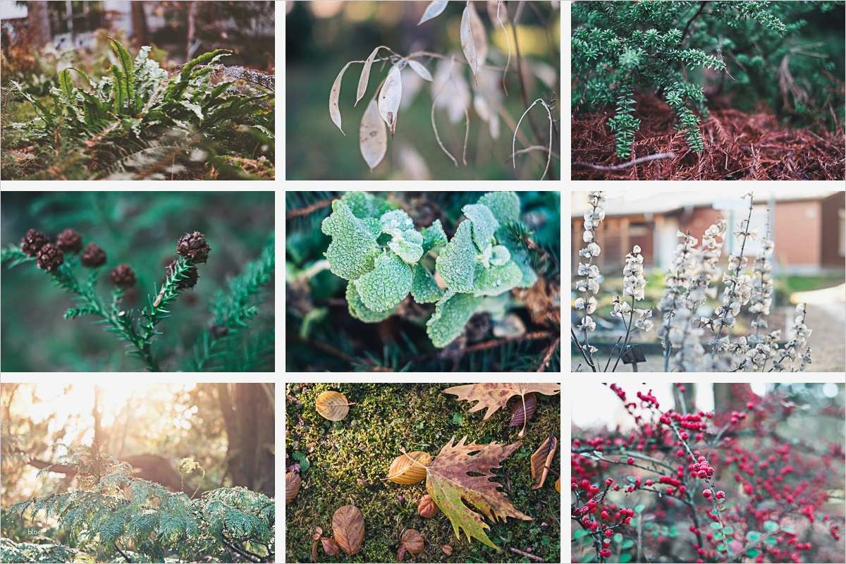 Lightroom Collage Vorlage Bewundernswert Lightroom Collagen Schnelle Vorlagen