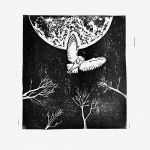 Linolschnitt Vorlagen Angenehm Lino Print Linoprint Linocut Owl In Moon Night From Etsy