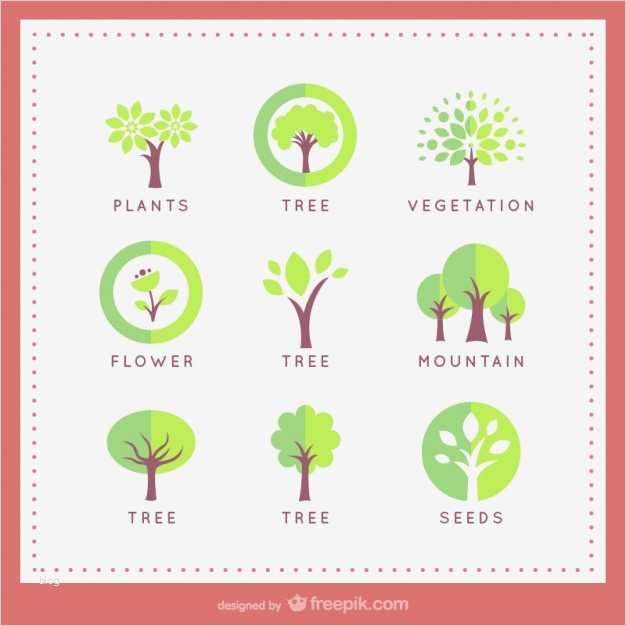 Logo Vorlagen Großartig Baum Logo Vorlagen