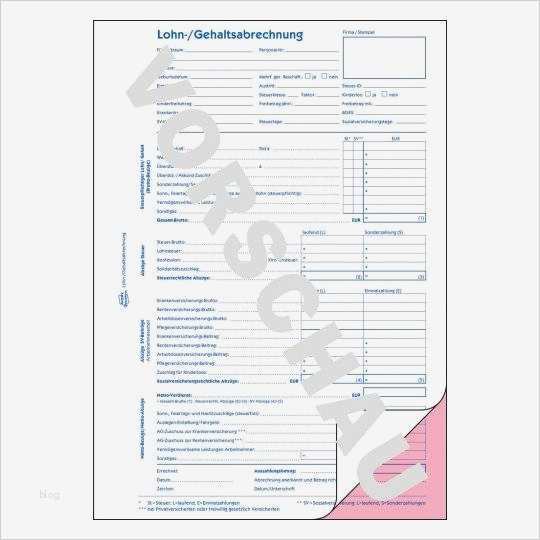 Lohn Gehaltsabrechnung 507