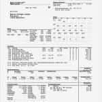Lohnabrechnung Vorlage Excel Erstaunlich Schön Gehaltsabrechnung Vorlage Fotos Bilder Für Das